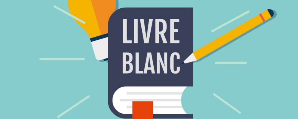 Livres blancs
