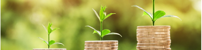 Pour réduire les délais de paiement, adoptez la culture du cash