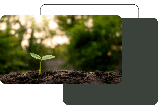 Respect de l'environnement