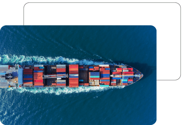 Gestion des opérations et du risque de change