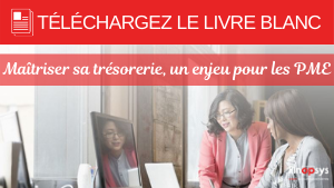 Livre blanc - 9 clés pour réussir votre projet crm